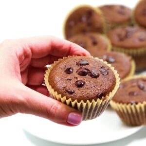 DOUBLE CHOCOLATE PROTEIN MUFFINS