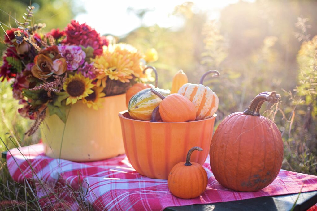 Pumpkin Ice Cream